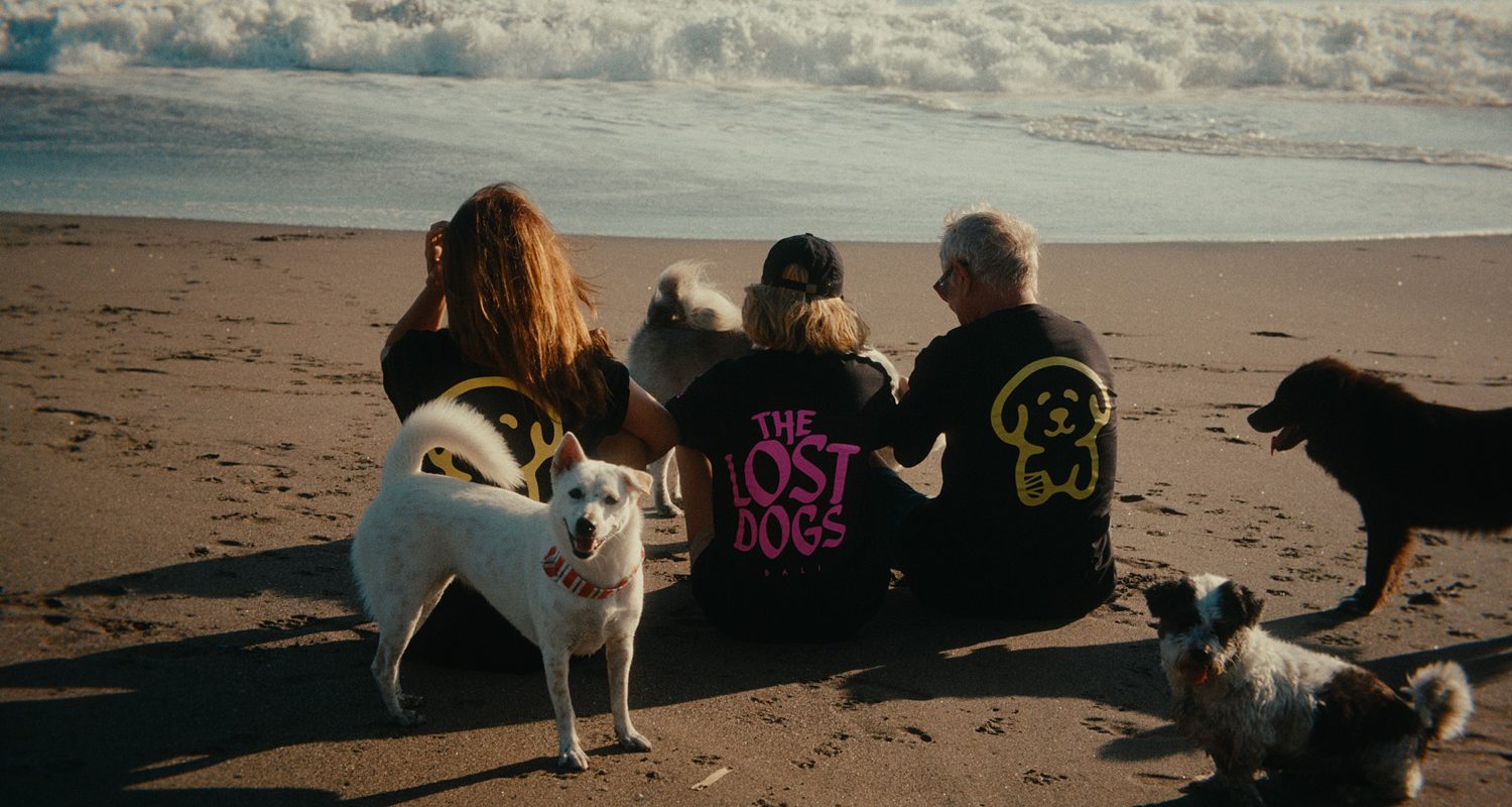 TheLostDogs-17