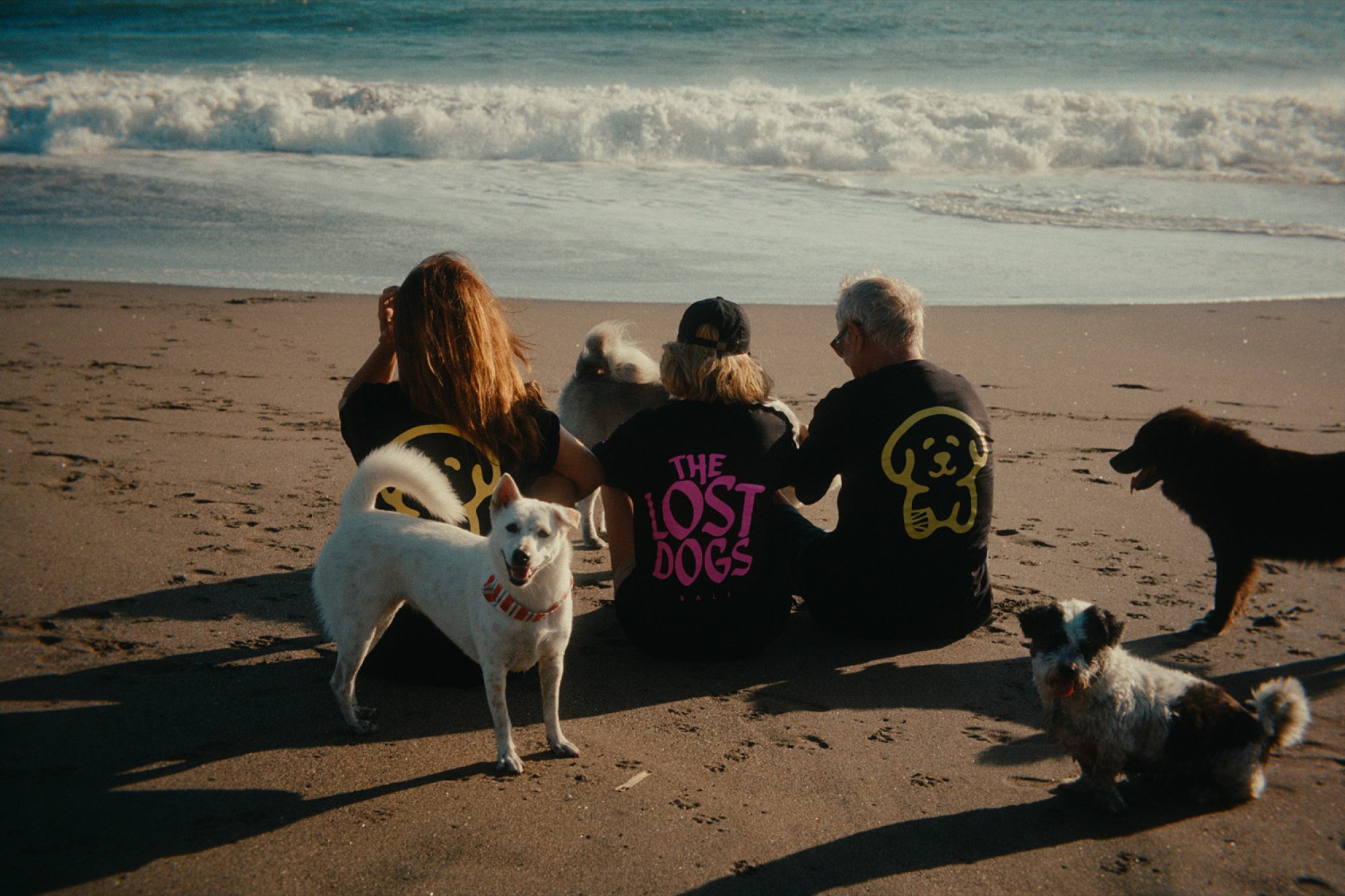 TheLostDogs-17
