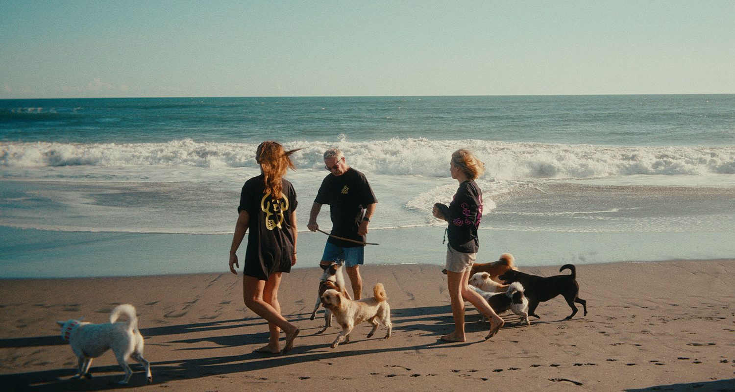 TheLostDogs-2