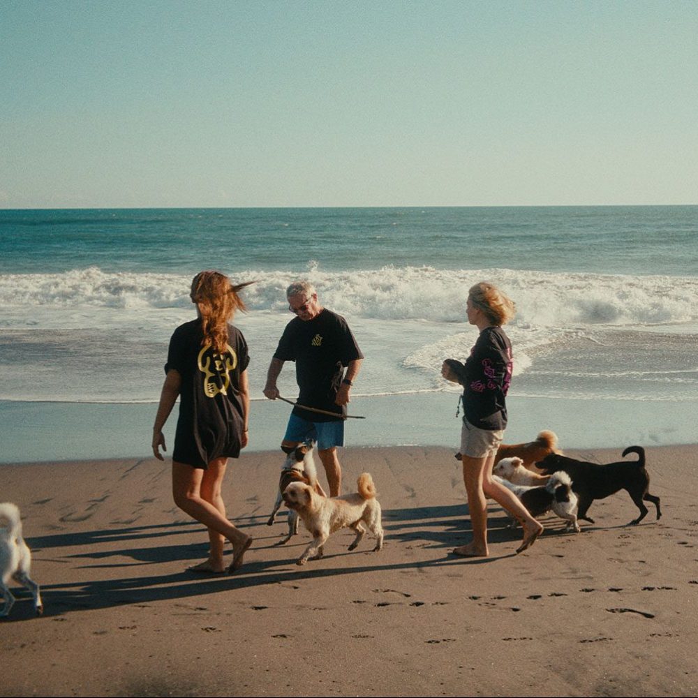 TheLostDogs-2