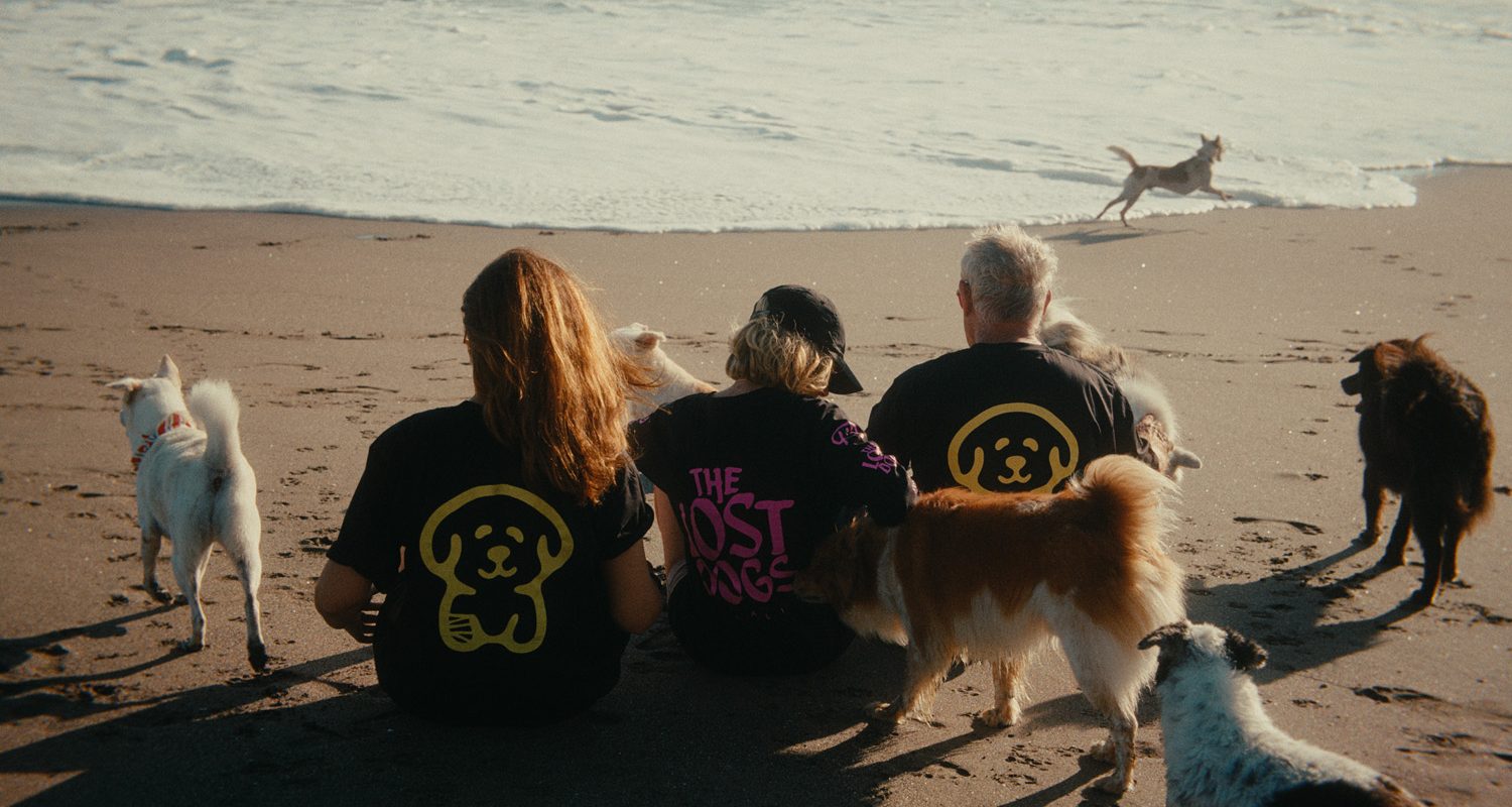 TheLostDogs-20