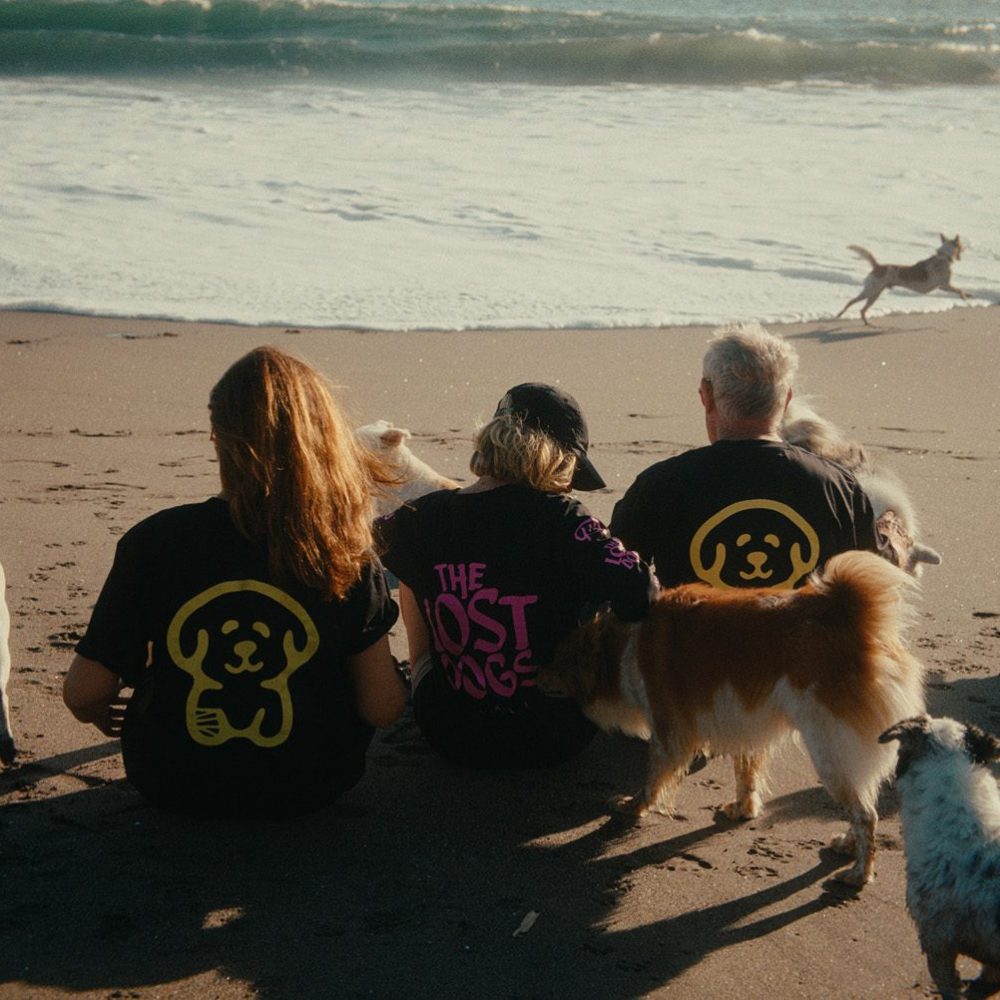 TheLostDogs-20