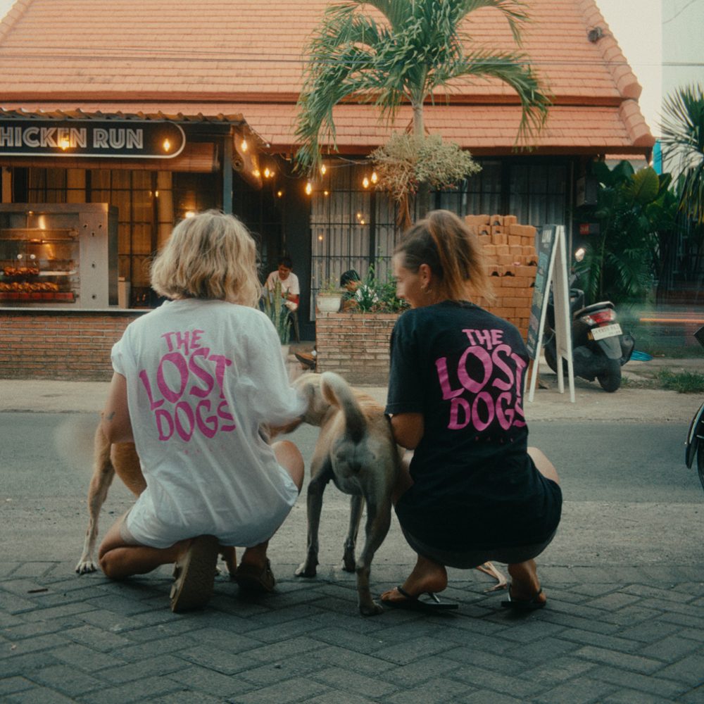 TheLostDogs-85